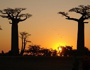 2016 Madagascar 0615