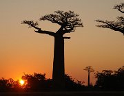 2016 Madagascar 0626