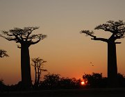 2016 Madagascar 0637