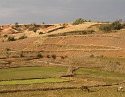 2016 Madagascar 0691