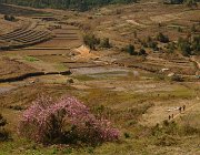 2016 Madagascar 0755