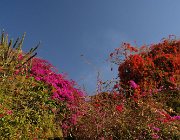 2016 Madagascar 0864