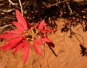 2016 Madagascar 0873