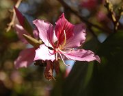 2016 Madagascar 0878