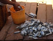 2016 Madagascar 0904