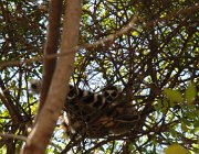 2016 Madagascar 0997