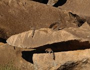 2016 Madagascar 1109