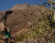 2016 Madagascar 1120