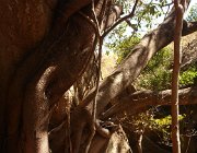 2016 Madagascar 1125