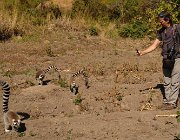 2016 Madagascar 1173