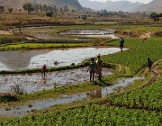 2016 Madagascar 1183
