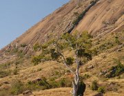 2016 Madagascar 1185
