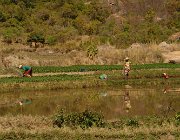 2016 Madagascar 1231