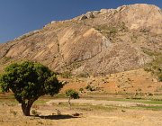 2016 Madagascar 1238