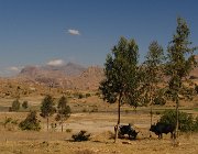 2016 Madagascar 1242