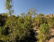 2016 Madagascar 1529