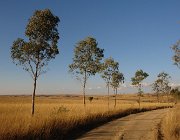 2016 Madagascar 1545