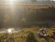 2016 Madagascar 1549