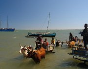 2016 Madagascar 1857