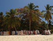 2016 Madagascar 2299