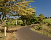 2016 Madagascar 2727