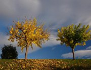 2016 Portogallo 0477