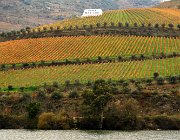 2016 Portogallo 1555  Tenuta Dona Matilde