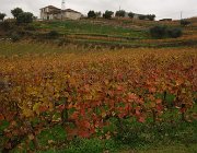 2016 Portogallo 1563
