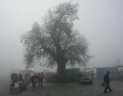 2016 Portogallo 1653