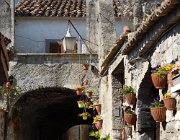 2017 Campania 0281