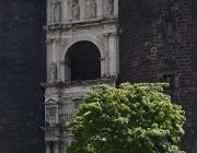 2017 Campania 0786