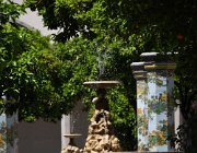 2017 Campania 0937