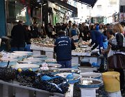 2017 Campania 1148