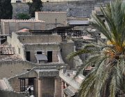 2017 Campania 1384