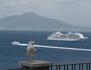 2017 Campania 1594