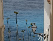 2017 Campania 1773