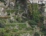 2017 Campania 1910