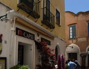 2017 Campania 2166