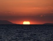 2017 Campania 2438