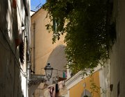 2017 Campania 2576