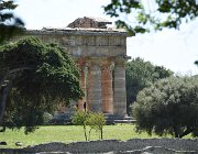 2017 Campania 2674  Paestum, Tempio di Athena