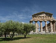 2017 Campania 2705