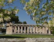 2017 Campania 2715