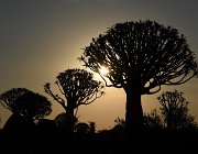 2018 Nambia 0014