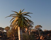 2018 Nambia 0019