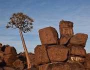 2018 Nambia 0094