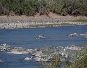 2018 Nambia 0180  Orange River, confine con il Sudafrica