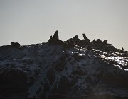 2018 Nambia 0285
