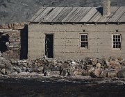 2018 Nambia 0319  I pinguini di Halifax