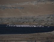 2018 Nambia 0441